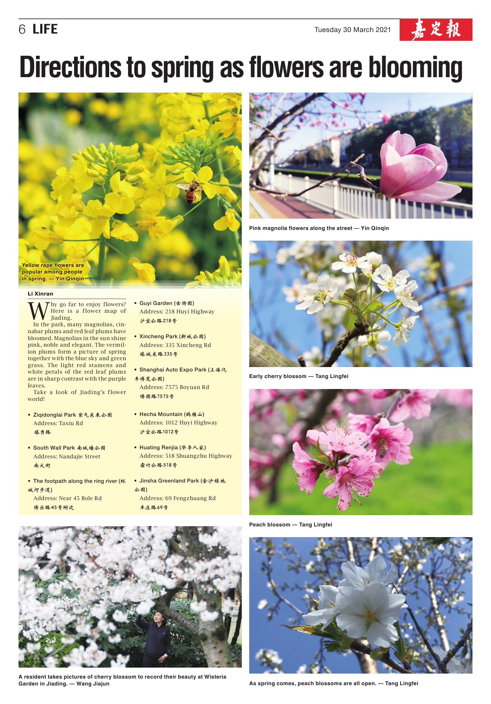 Directions to spring as flowers are blooming嘉定报