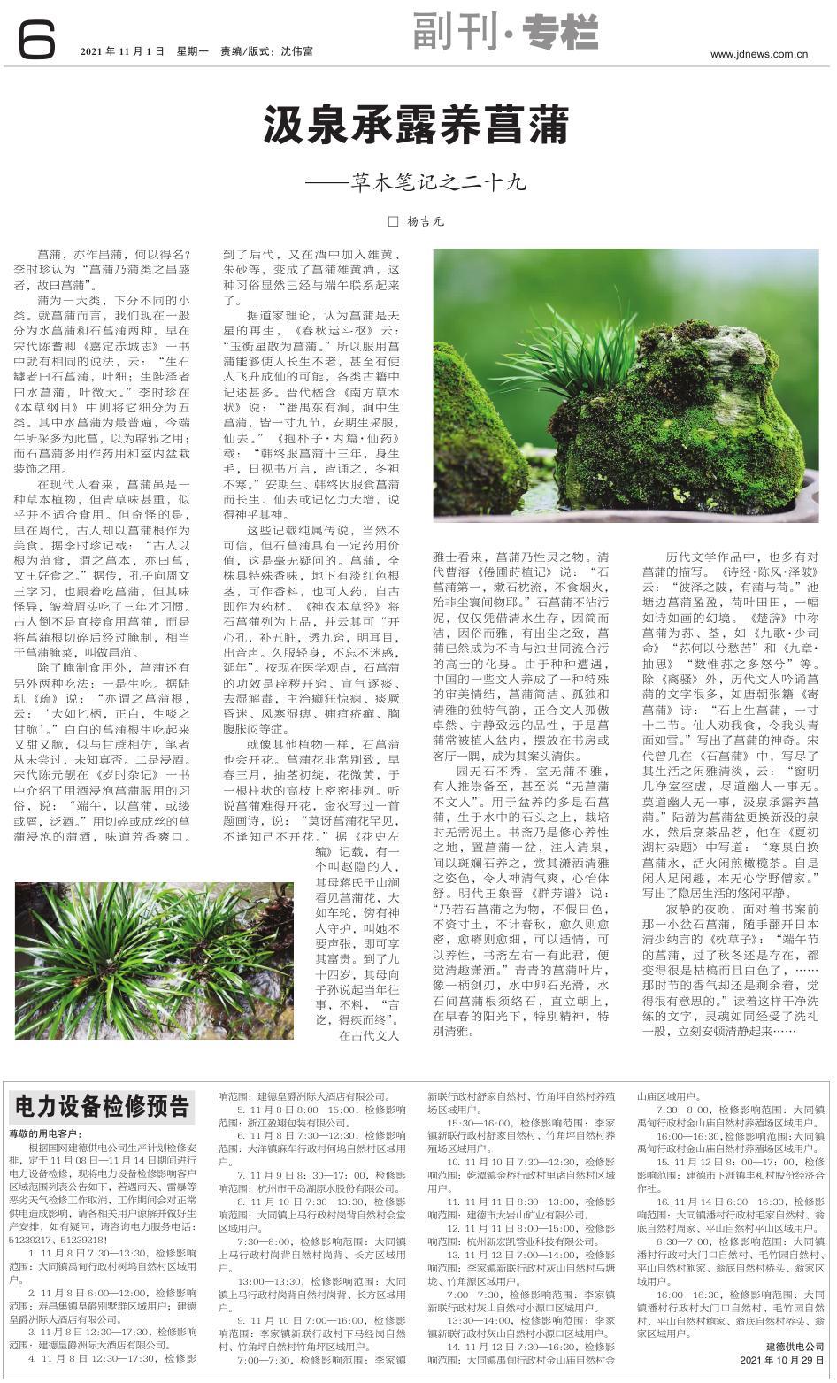 第六版：副刊·专栏