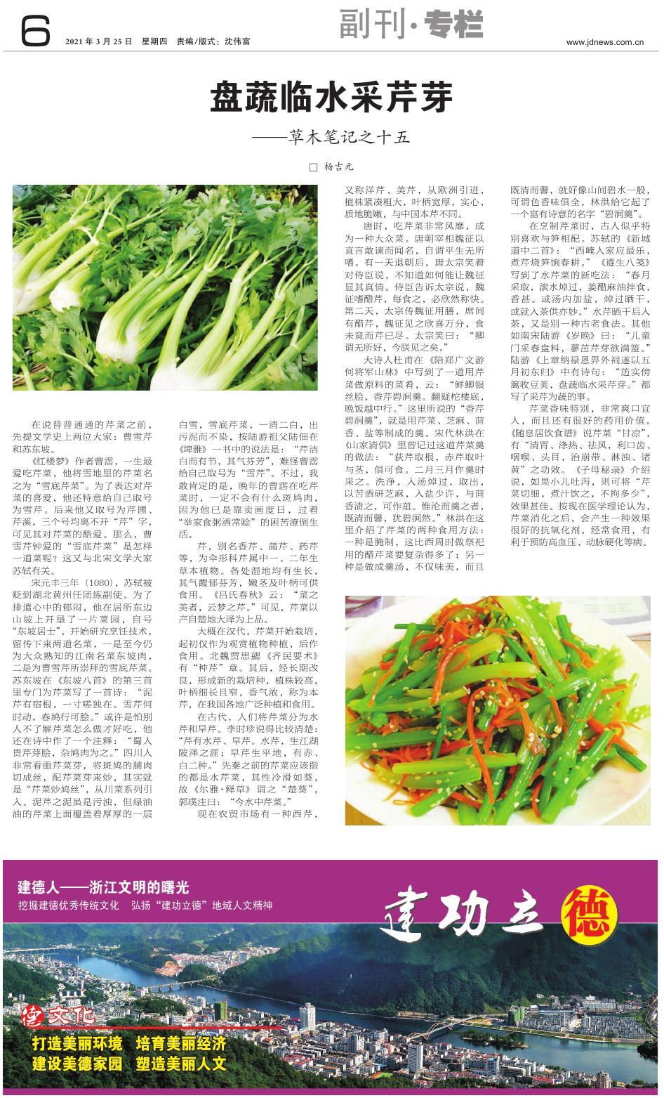 第六版：副刊·专栏