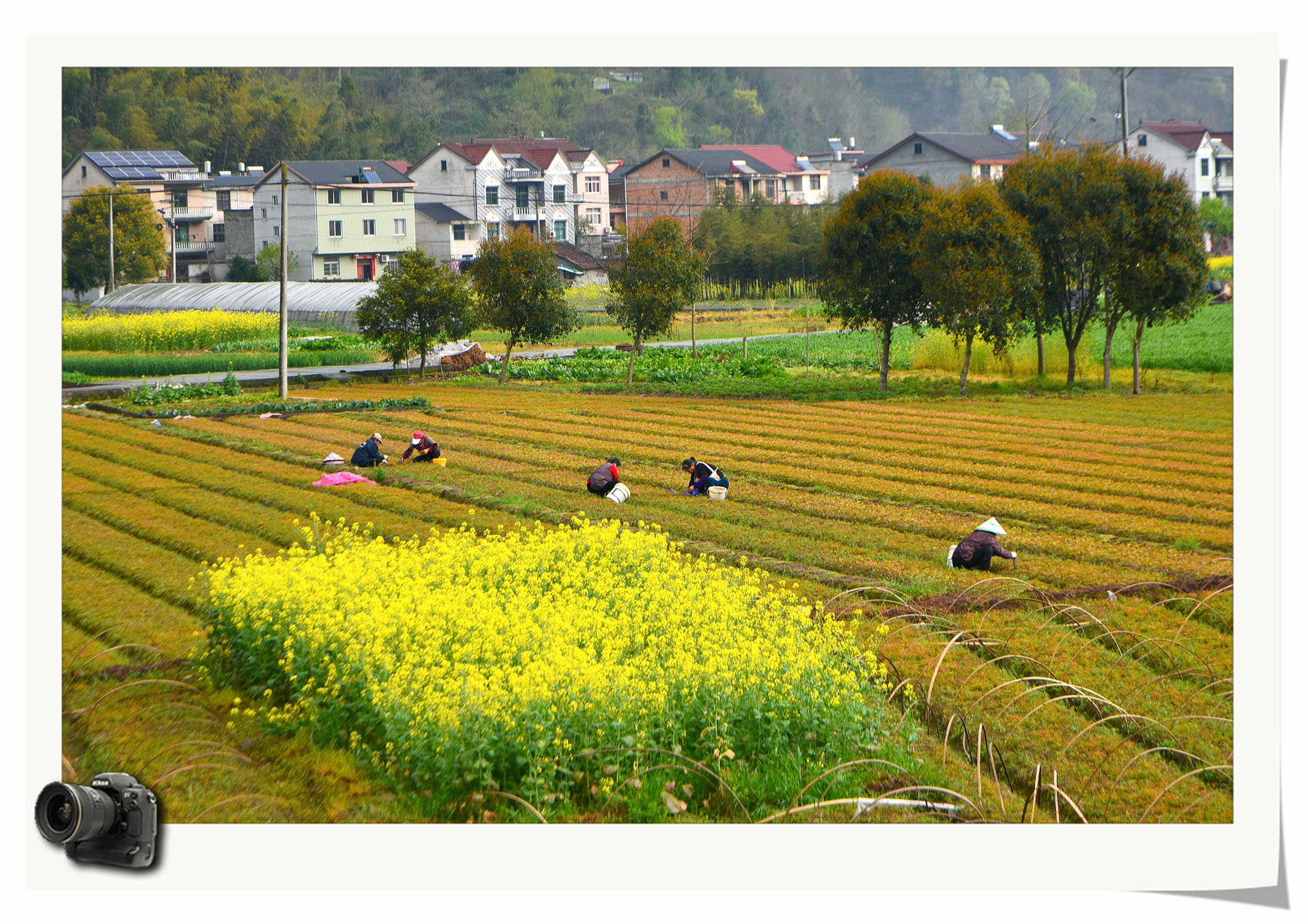 32张照片告诉你法国乡下的春天有多美！_千江moon_新浪博客