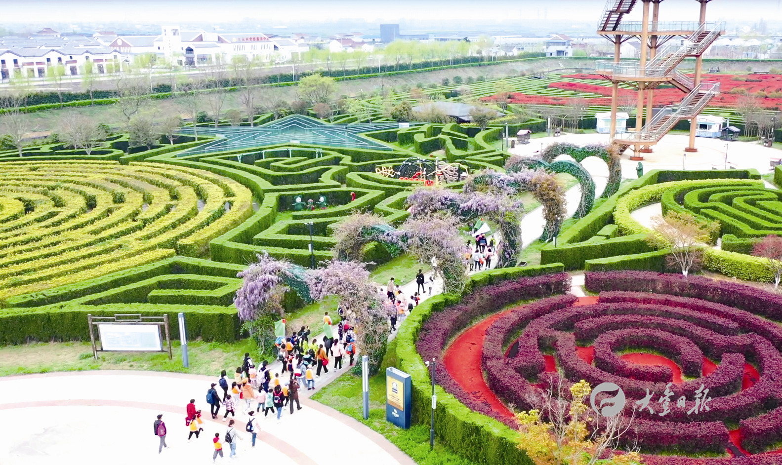 穿梭在草堰镇梦幻迷宫景区里的树林迷宫,仿佛立刻陷入"爱丽丝梦游仙境