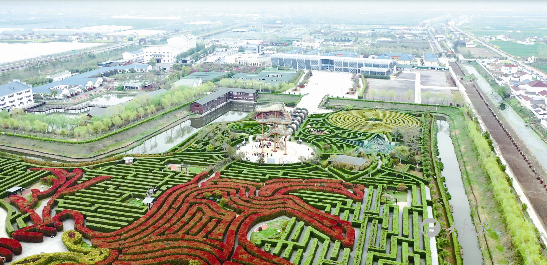 穿梭在草堰镇梦幻迷宫景区里的树林迷宫,仿佛立刻陷入"爱丽丝梦游仙境