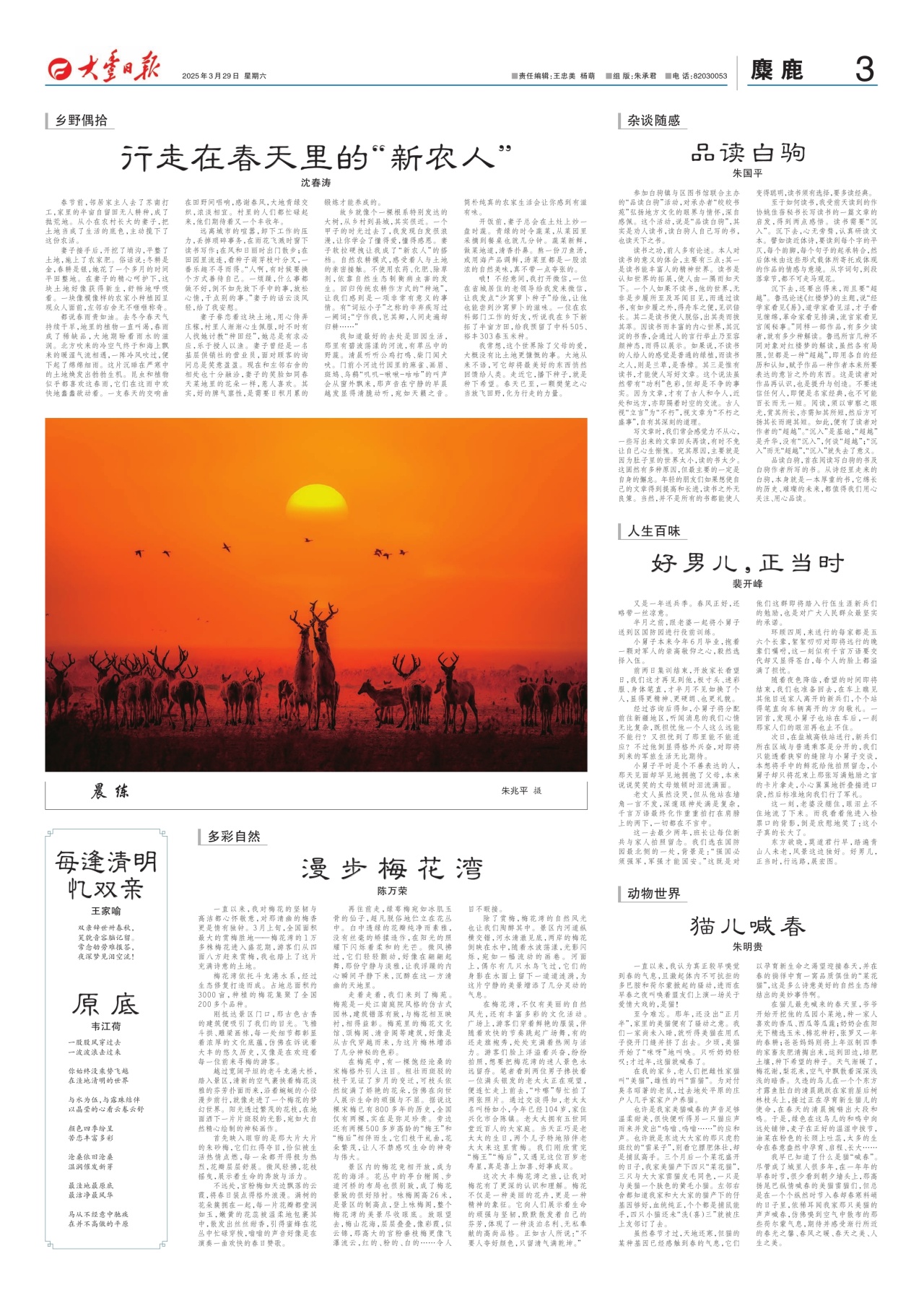 第三版：麋鹿