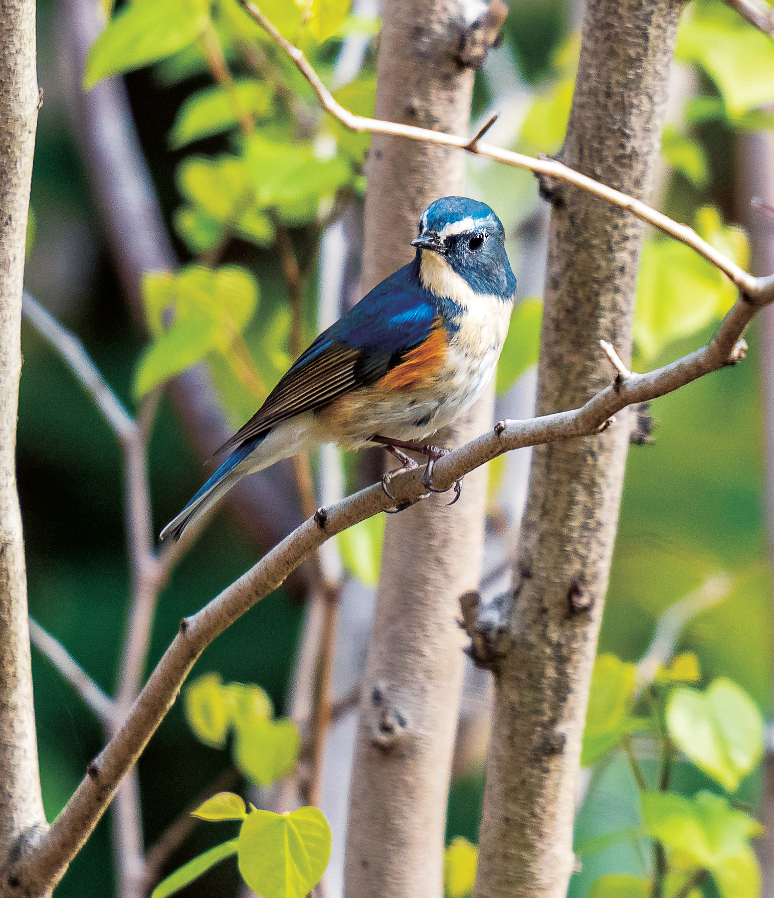 enjoyingthefreedomtogetoutside