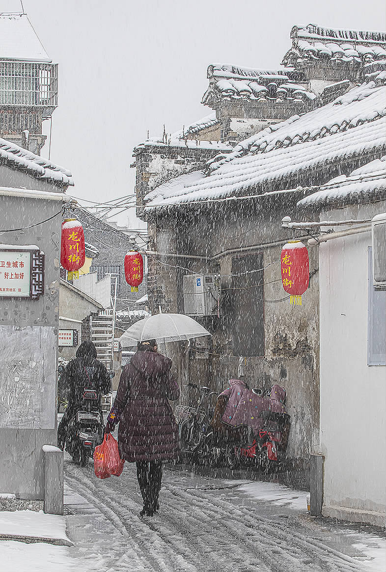 邗沟飘雪 文红雪巷 文红小树林 蒋志根风雪行 龚春海下雪了 段青