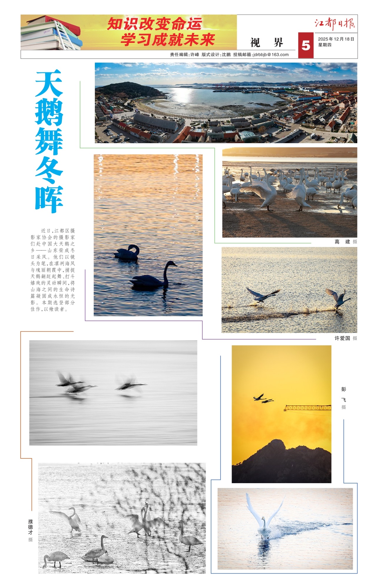 第五版：视界