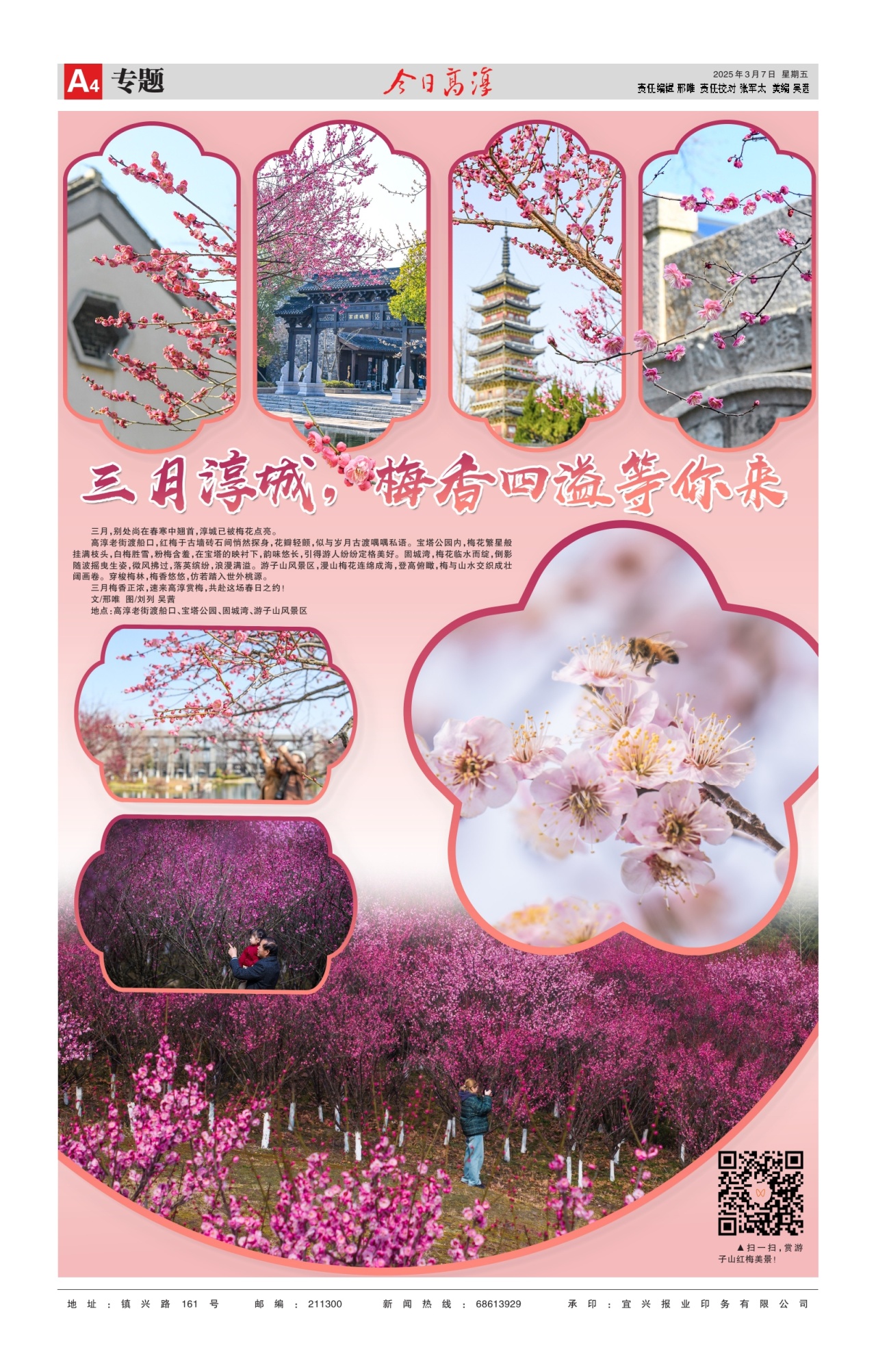 第四版：专题