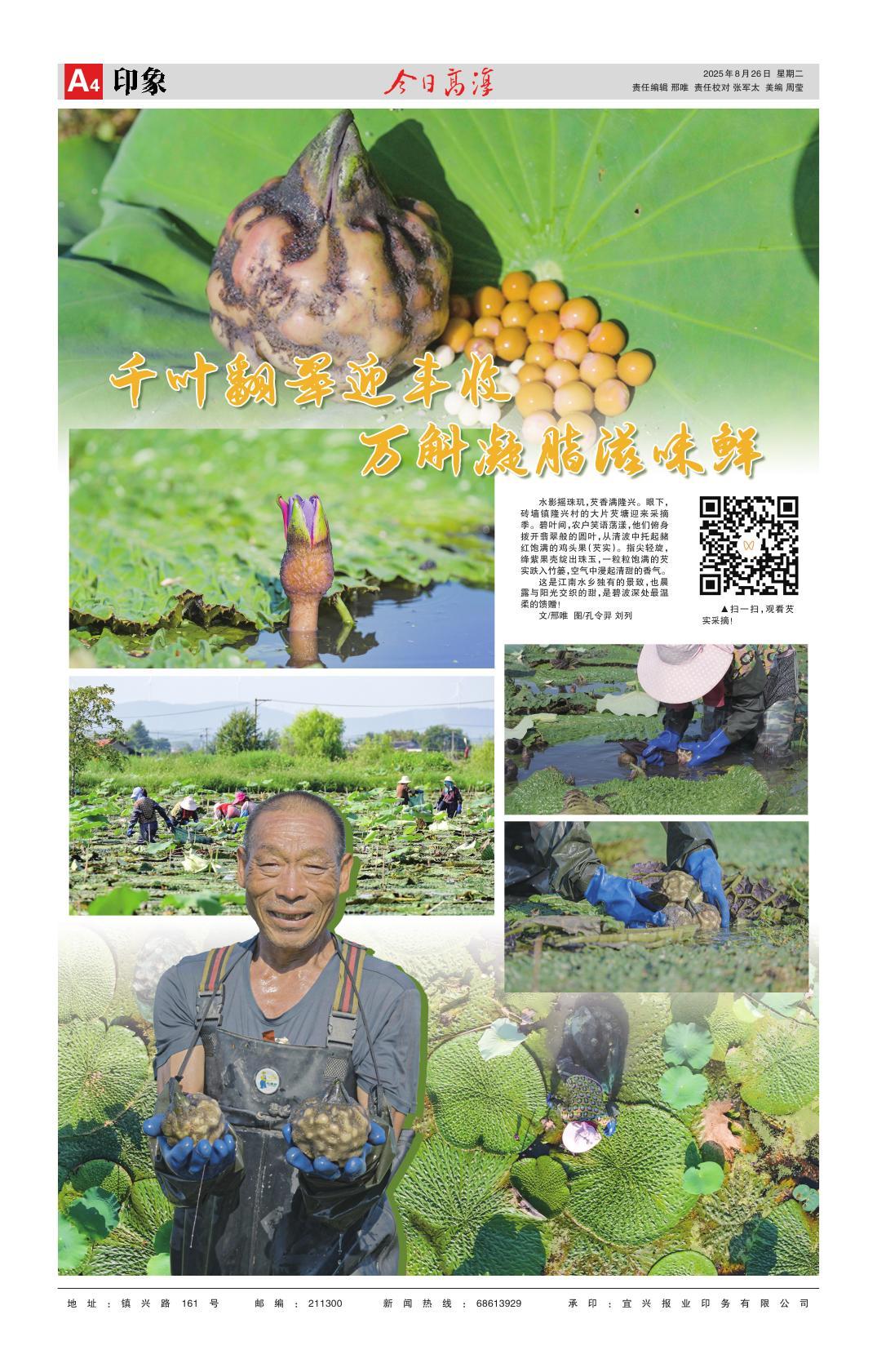 第四版：印象