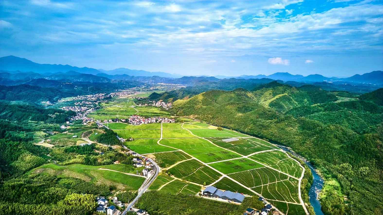 全力全速推进机器换人促进临安山地农业提质增效