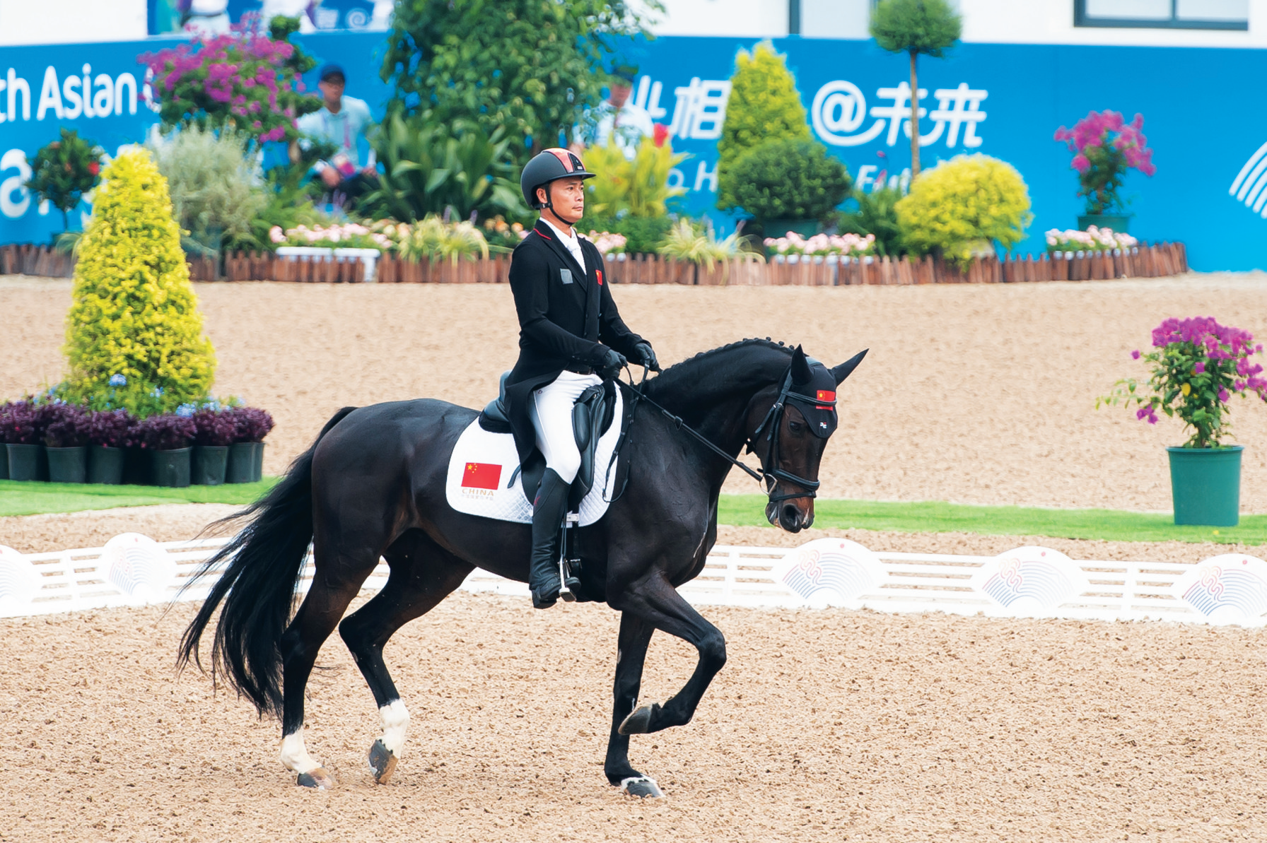 亚运马术三项赛盛装舞步赛中国队暂居团体榜首