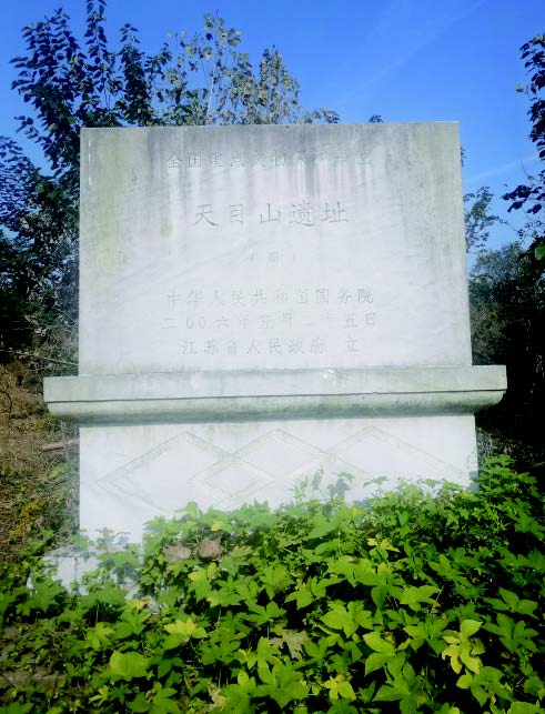 古诗里的天目山--姜堰日报