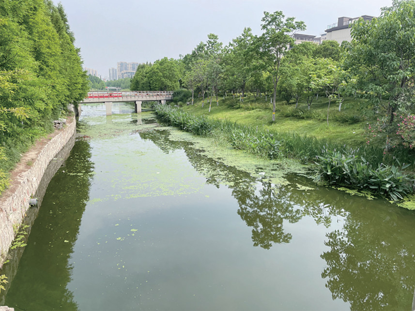 交警大队,住建局存在问题:机动车非机动车乱停乱放地点:罗塘公园时间