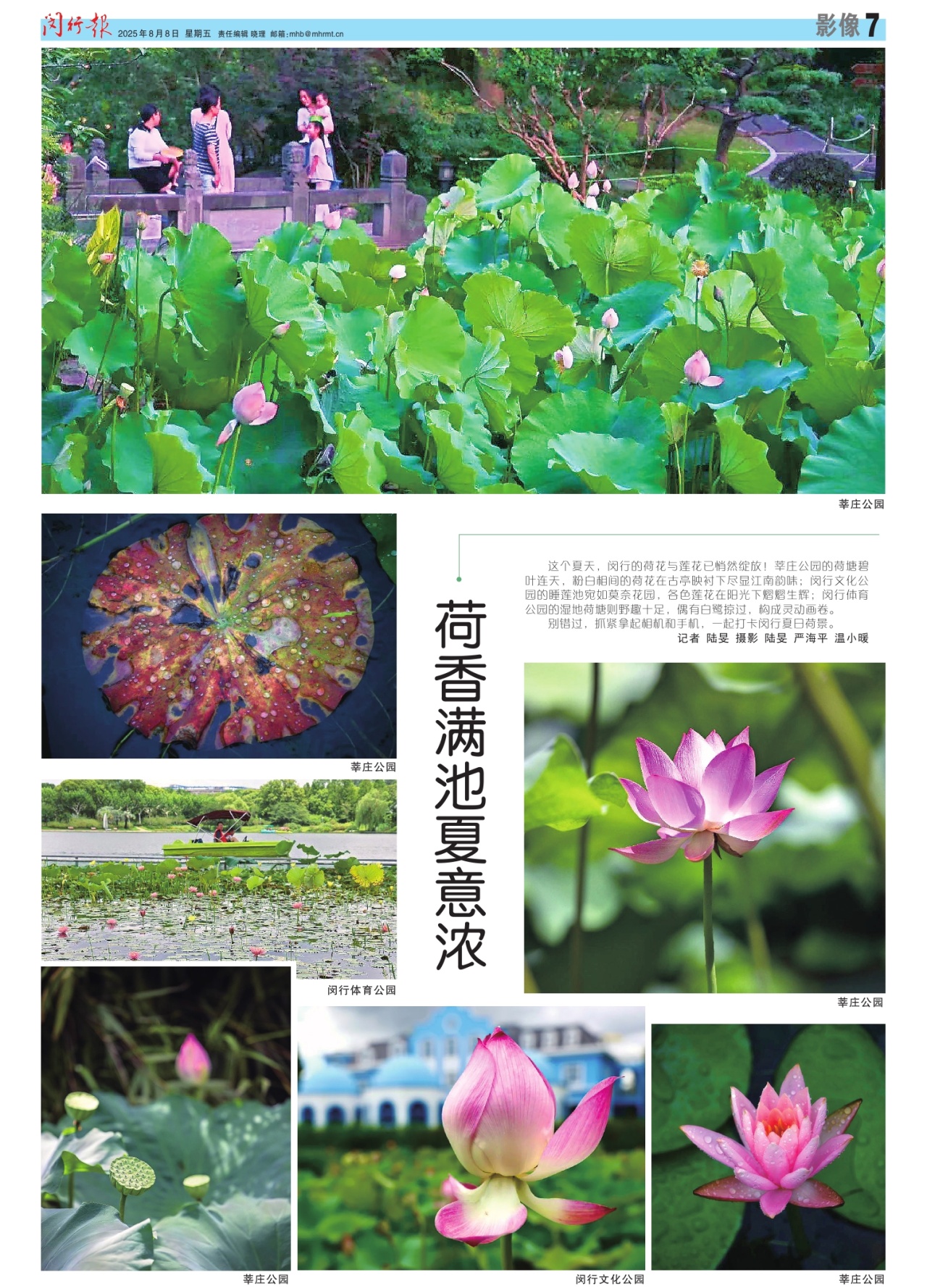 第七版：影像