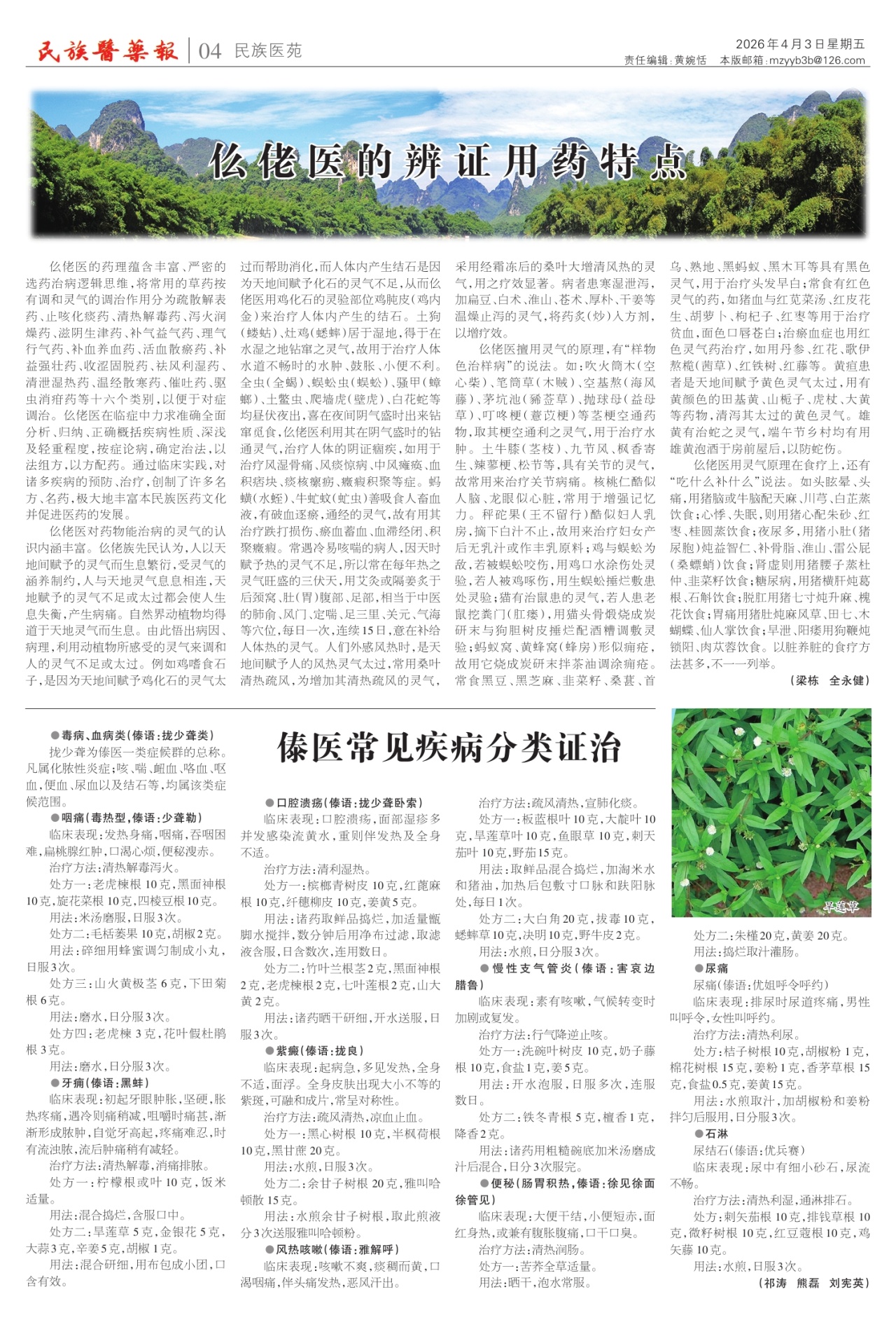 第四版：民族医苑