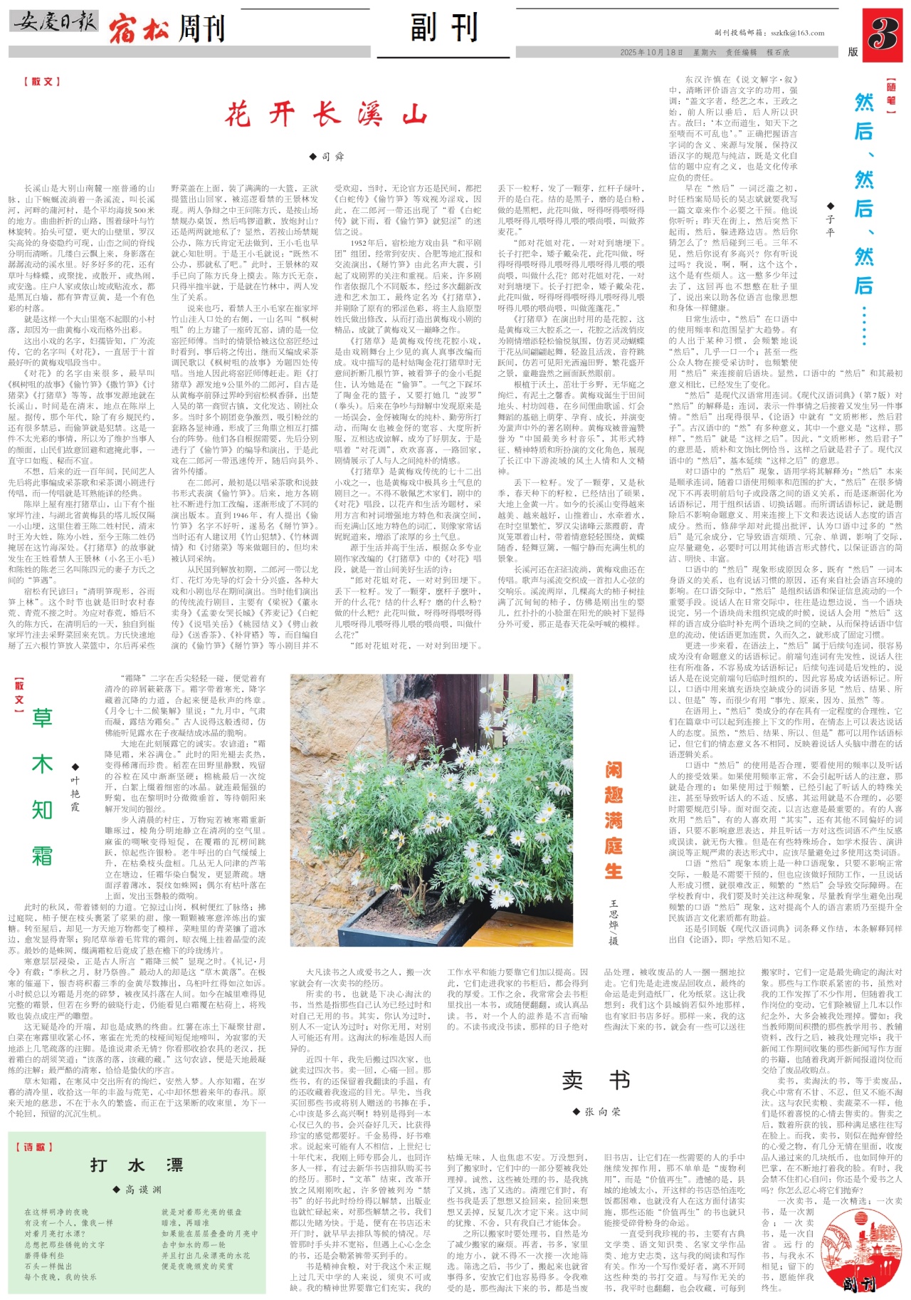 第三版：副刊