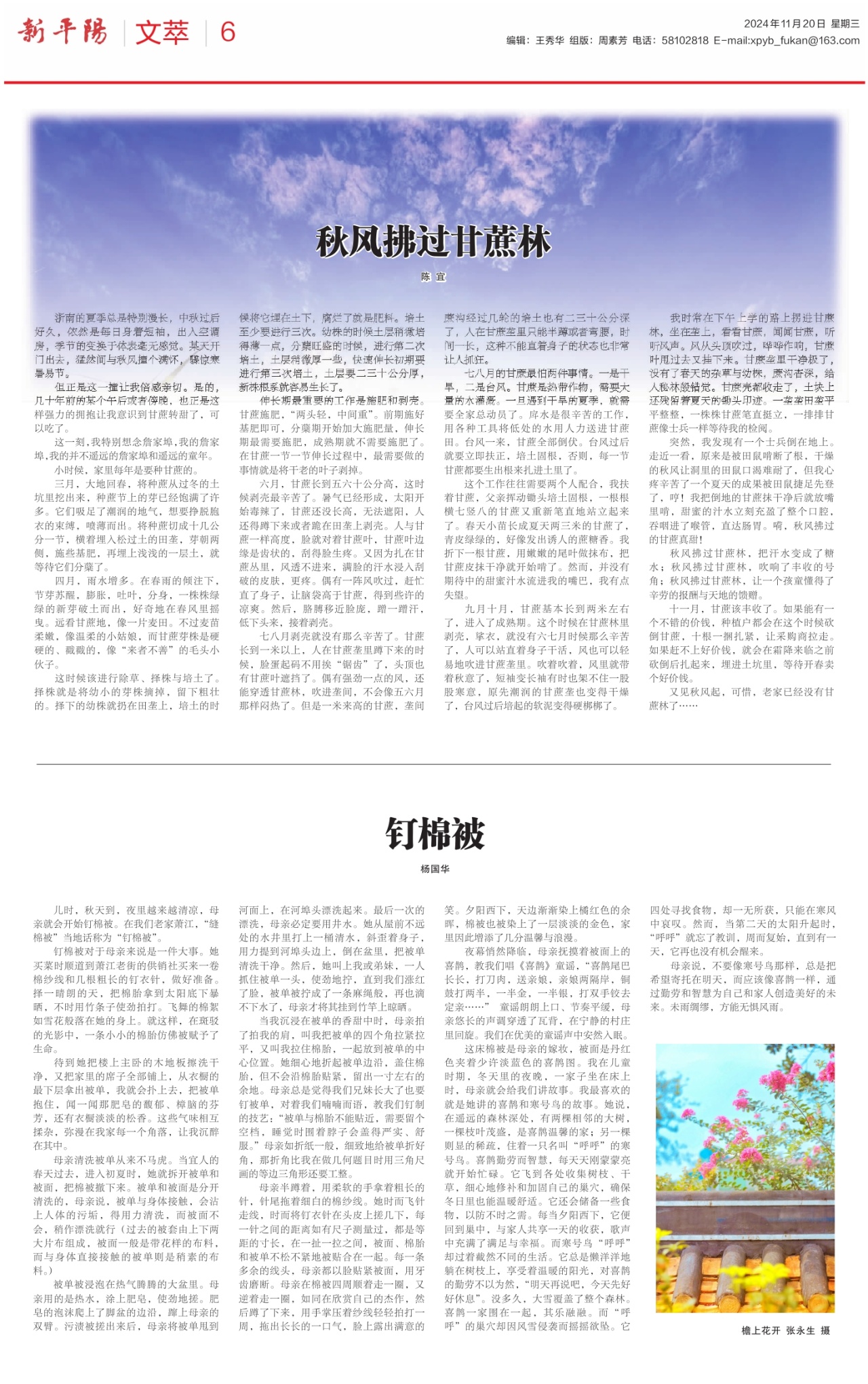 第六版：文萃