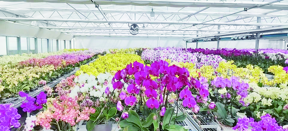 台创园:提振信心聚焦关键 精准发力凝聚合力--盐都日报