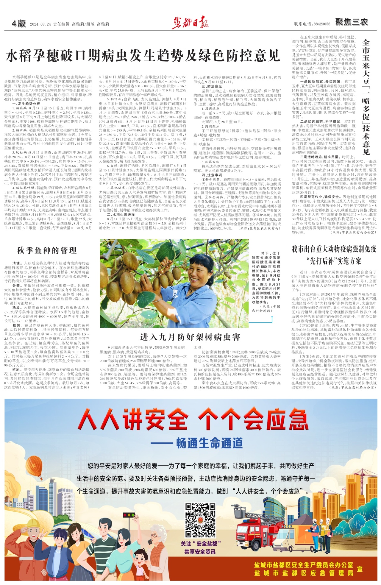 第四版：聚焦三农