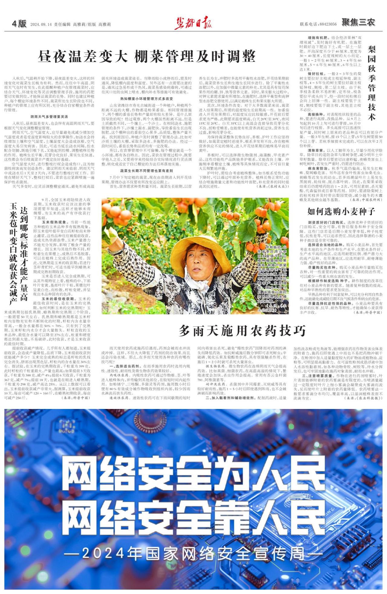 第四版：聚焦三农