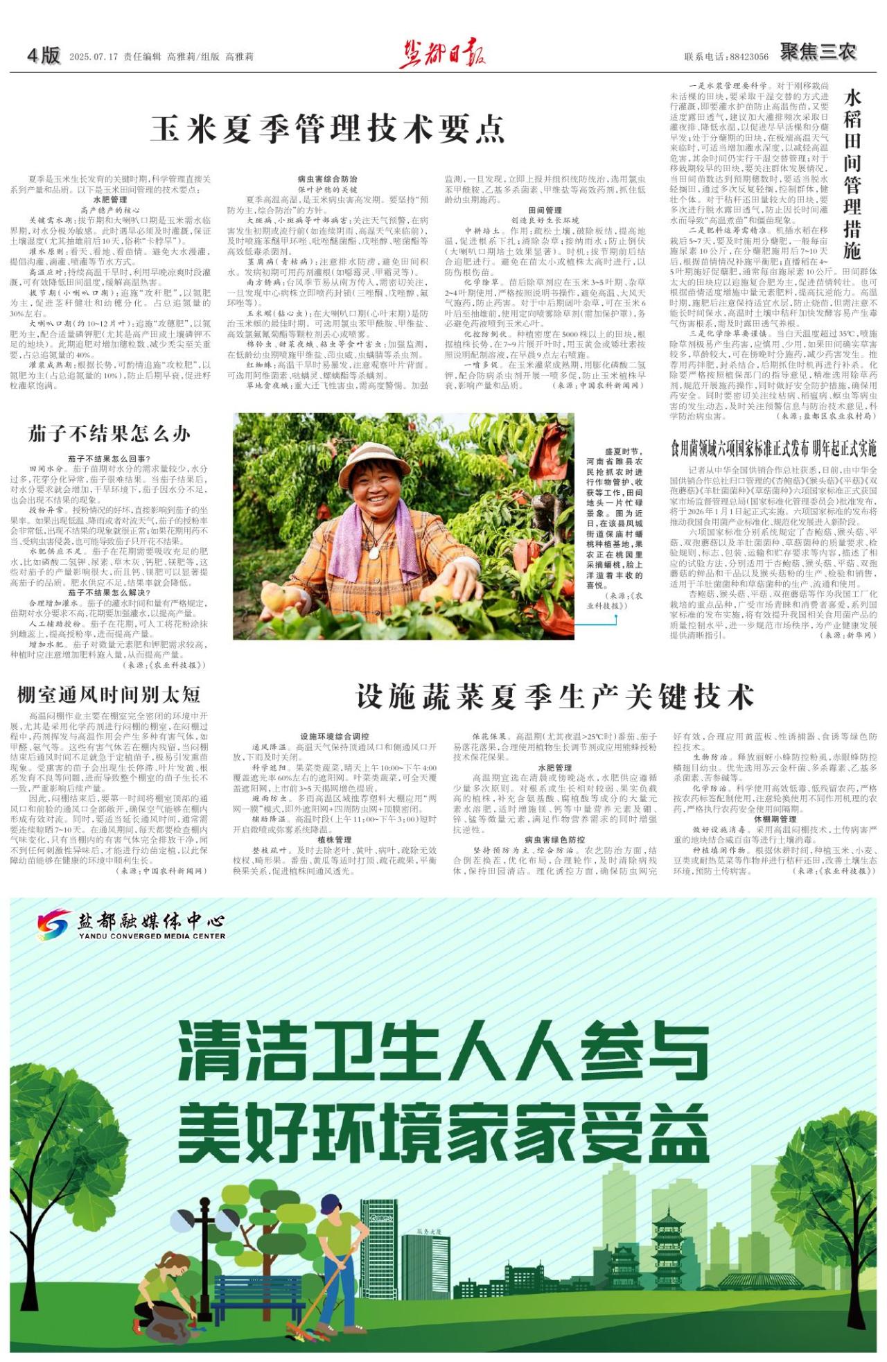 第四版：聚焦三农