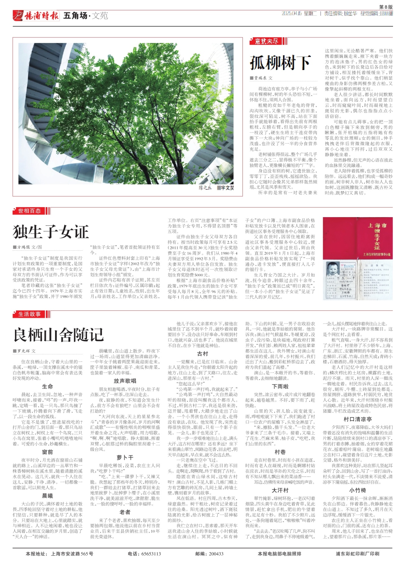 第八版:五角场·文苑