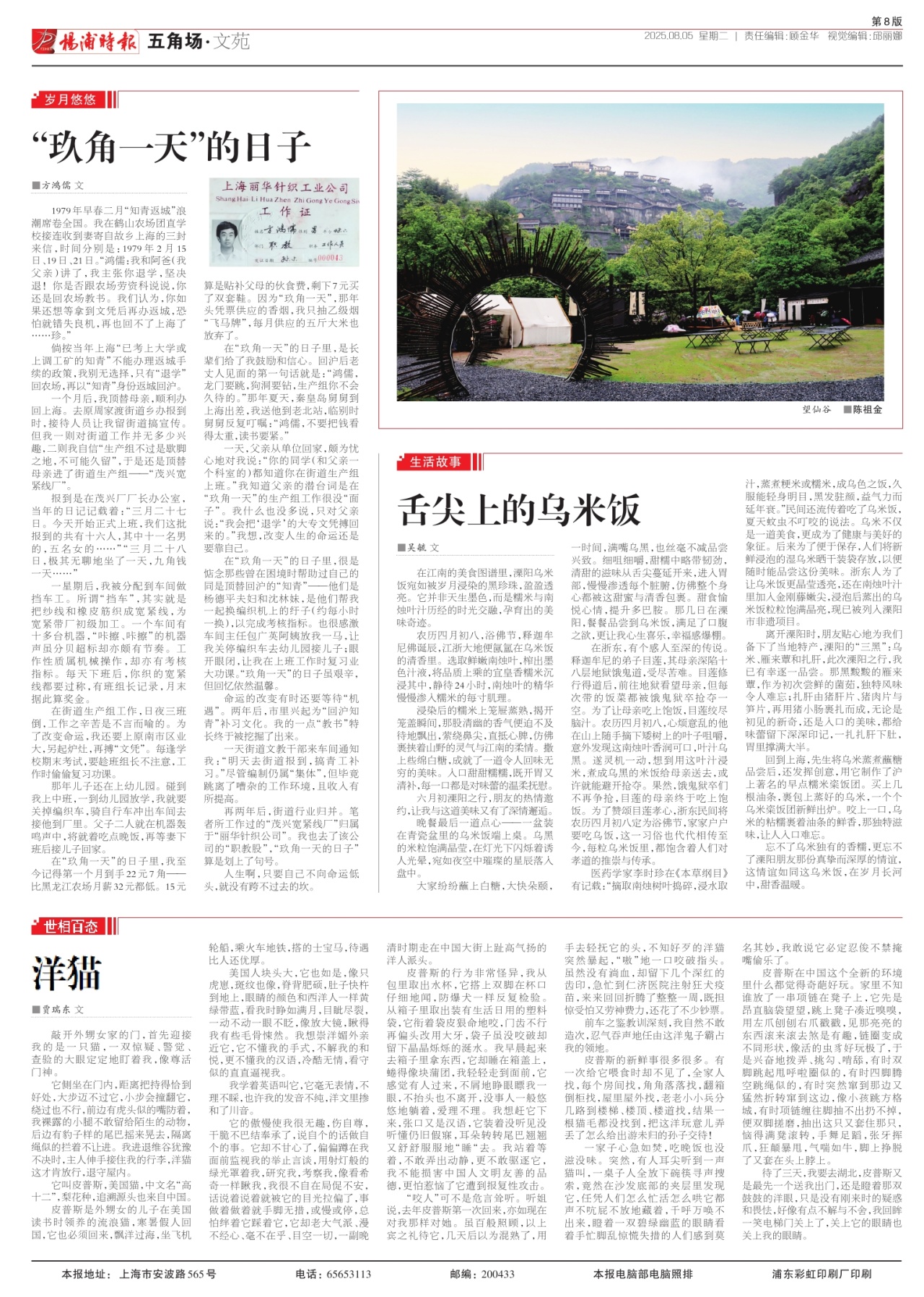 第八版:五角场·文苑