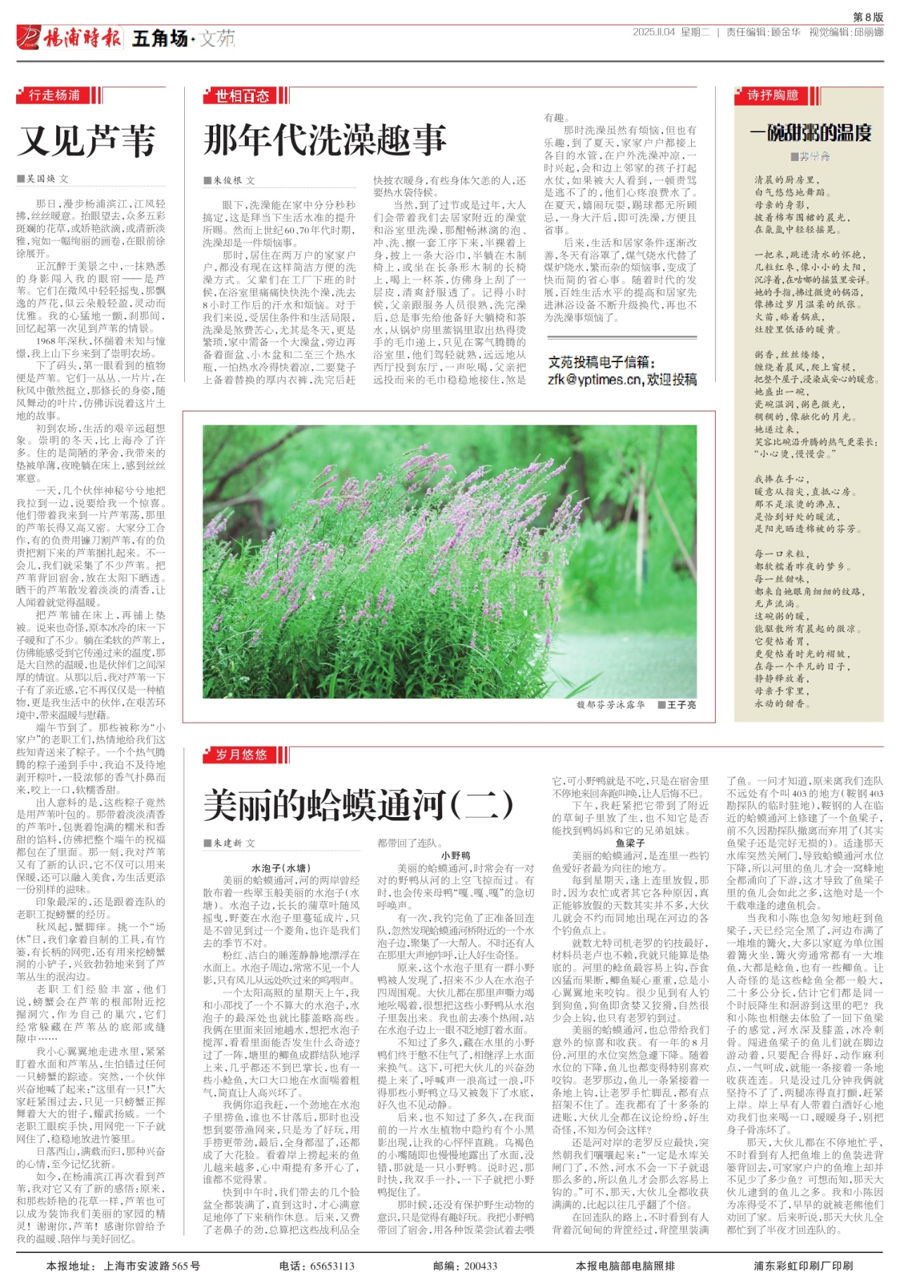 第八版:五角场·文苑